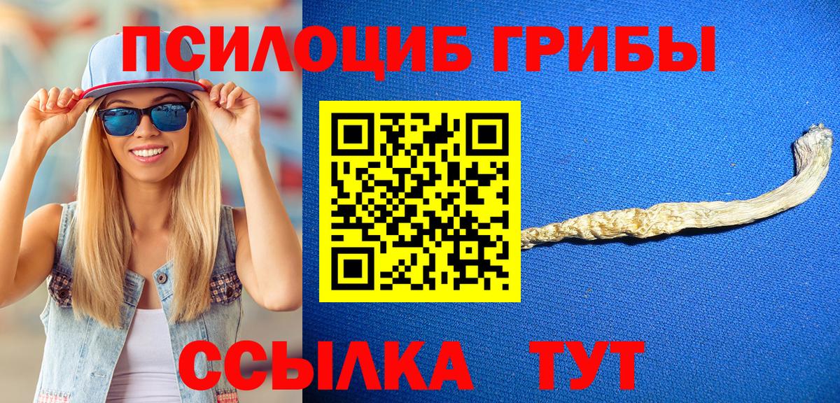 закладки  Вход с VPN  Долгопрудный  Галлюциногенные грибы мухоморы 