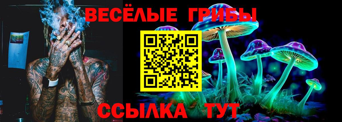 Псилоцибиновые грибы прущие грибы Долгопрудный