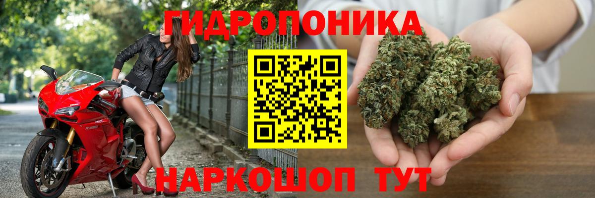 Бошки Шишки MAZAR  Каннабис семена  Долгопрудный  Конопля MAZAR  Вход с VPN 